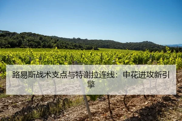 lu-yi-si-zhan-shu-zhi-dian-yu-te-xie-la-lian-xian-shen-hua-jin-gong-xin-yin-qing-3-601.jpg